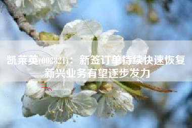 凯莱英(002821)：新签订单持续快速恢复 新兴业务有望逐步发力