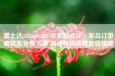 富士达(835640)2024年年报点评：军品订单疲软至业绩下滑 加速布局高附加值领域