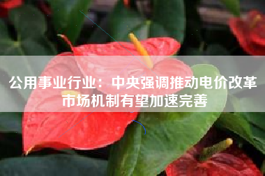 公用事业行业：中央强调推动电价改革 市场机制有望加速完善