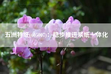 五洲特纸(605007)：稳步推进浆纸一体化