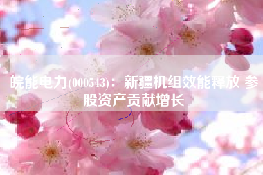 皖能电力(000543)：新疆机组效能释放 参股资产贡献增长