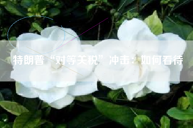 特朗普“对等关税”冲击：如何看待