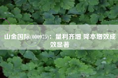 山金国际(000975)：量利齐增 降本增效成效显著