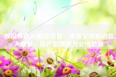 数说券商#3财富资管：零售交易驱动收入增长、资产管理助力业绩稳健