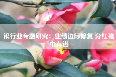 银行业专题研究：业绩边际修复 分红稳中有进
