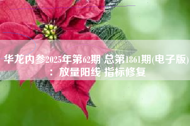 华龙内参2025年第62期 总第1861期(电子版)：放量阳线 指标修复