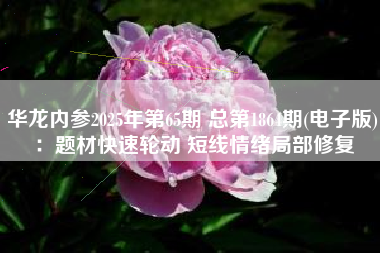 华龙内参2025年第65期 总第1864期(电子版)：题材快速轮动 短线情绪局部修复