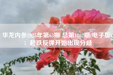 华龙内参2025年第63期 总第1862期(电子版)：超跌反弹开始出现分歧