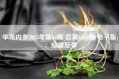 华龙内参2025年第64期 总第1863期(电子版)：缩量反弹