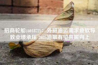 招商轮船(601872)：外贸油运需求疲软导致业绩承压 2025油散有望共振向上