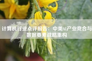 计算机行业点评报告：中美AI产业竞合与数据要素战略重构