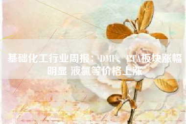 基础化工行业周报：DMF、PTA板块涨幅明显 液氯等价格上涨