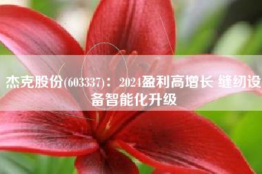 杰克股份(603337)：2024盈利高增长 缝纫设备智能化升级