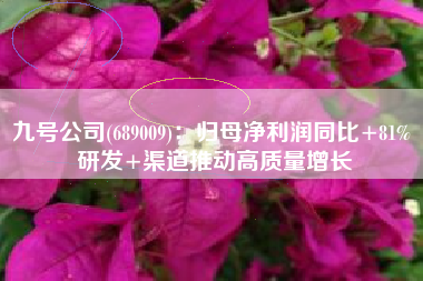 九号公司(689009)：归母净利润同比+81% 研发+渠道推动高质量增长