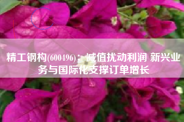 精工钢构(600496)：减值扰动利润 新兴业务与国际化支撑订单增长