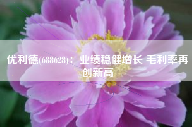 优利德(688628)：业绩稳健增长 毛利率再创新高