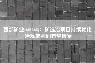 西部矿业(601168)：矿选冶项目持续优化 冶炼端利润有望修复