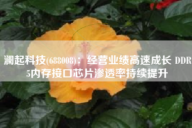 澜起科技(688008)：经营业绩高速成长 DDR5内存接口芯片渗透率持续提升