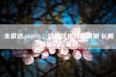 金徽酒(603919)：结构优化路径清晰 长期增长势能强劲