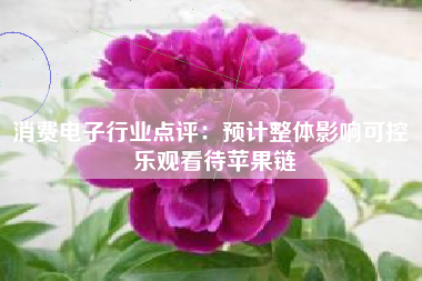 消费电子行业点评：预计整体影响可控 乐观看待苹果链