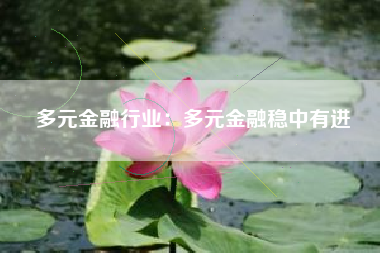 多元金融行业：多元金融稳中有进
