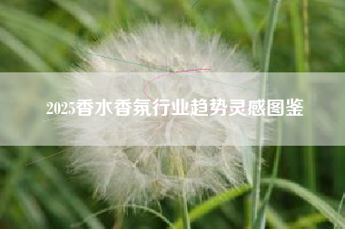 2025香水香氛行业趋势灵感图鉴