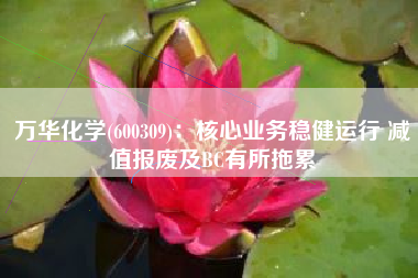 万华化学(600309)：核心业务稳健运行 减值报废及BC有所拖累