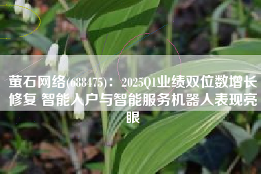 萤石网络(688475)：2025Q1业绩双位数增长修复 智能入户与智能服务机器人表现亮眼