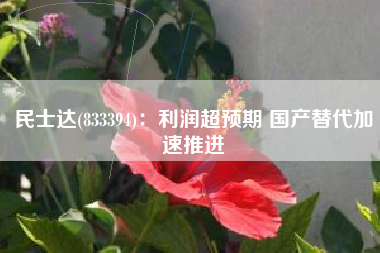 民士达(833394)：利润超预期 国产替代加速推进