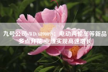九号公司-WD(689009)：电动两轮车等新品多点开花 业绩实现高速增长