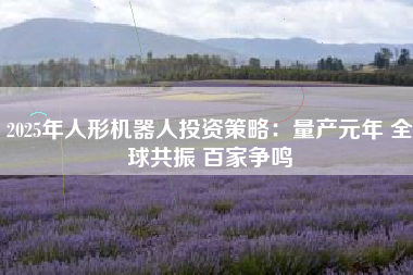 2025年人形机器人投资策略：量产元年 全球共振 百家争鸣