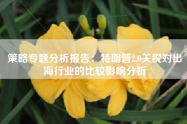 策略专题分析报告：特朗普2.0关税对出海行业的比较影响分析