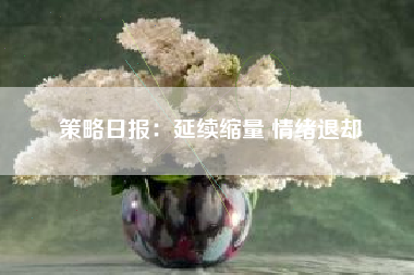 策略日报：延续缩量 情绪退却