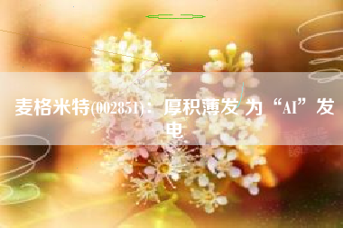 麦格米特(002851)：厚积薄发 为“AI”发电