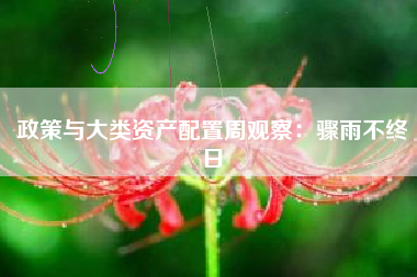 政策与大类资产配置周观察：骤雨不终日