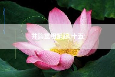 并购重组跟踪(十五)