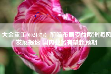 大金重工(002487)：前瞻布局受益欧洲海风发展提速 国内业务有望超预期