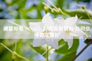 通富微电(002156)：行业温和复苏 公司业绩稳定增长