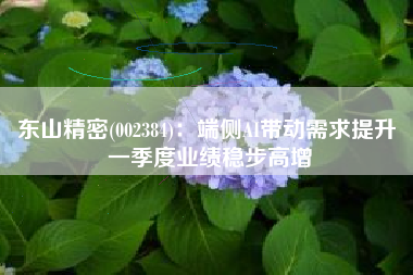东山精密(002384)：端侧AI带动需求提升 一季度业绩稳步高增