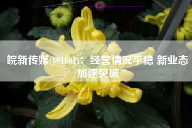皖新传媒(601801)：经营情况平稳 新业态加速突破