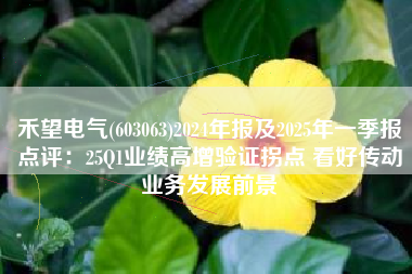 禾望电气(603063)2024年报及2025年一季报点评：25Q1业绩高增验证拐点 看好传动业务发展前景