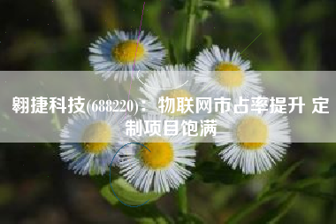 翱捷科技(688220)：物联网市占率提升 定制项目饱满