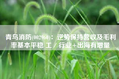 青鸟消防(002960)：逆势保持营收及毛利率基本平稳 工／行业+出海有增量