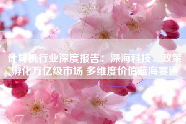 计算机行业深度报告：深海科技：政策孵化万亿级市场 多维度价值蓝海赛道
