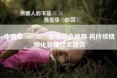 中青旅(600138)：业绩符合预期 将持续精细化管理控本增效