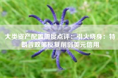 大类资产配置周度点评：引火烧身：特朗普政策反复削弱美元信用