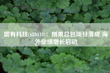 震有科技(688418)：刚果总包项目落成 海外业绩增长启动