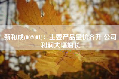 新和成(002001)：主要产品量价齐升 公司利润大幅增长