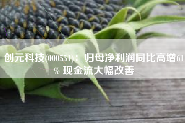 创元科技(000551)：归母净利润同比高增61% 现金流大幅改善
