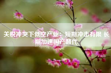 关税冲突下低空产业：短期冲击有限 长期加速国产替代